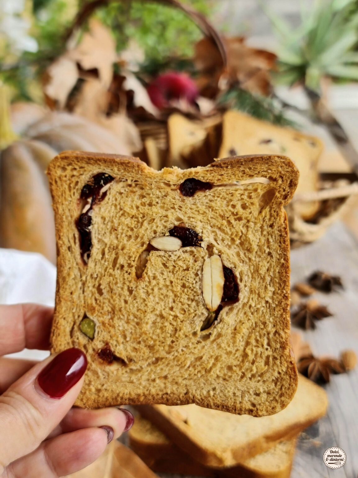 Fette Biscottate Allo Yogurt Sane E Leggere Ricetta Il Ricettario